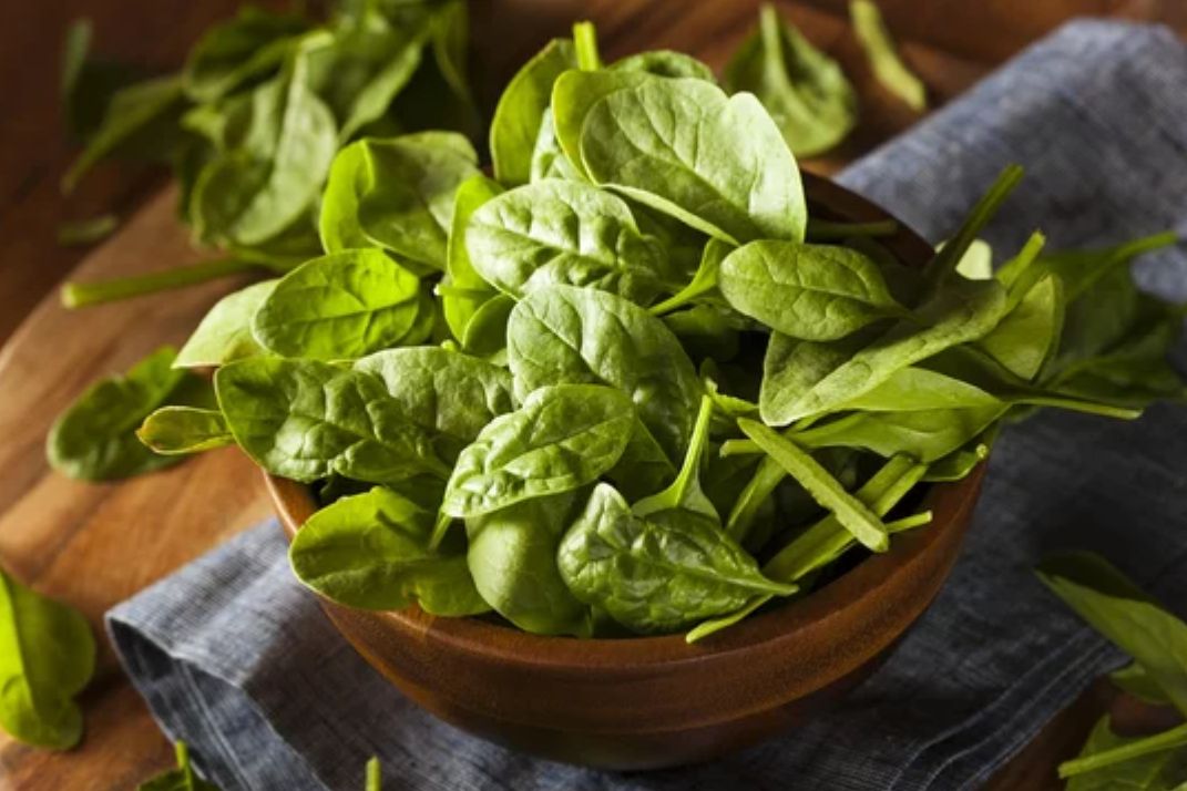 Шпинат на подоконнике: как вырастить витаминный источник круглый год