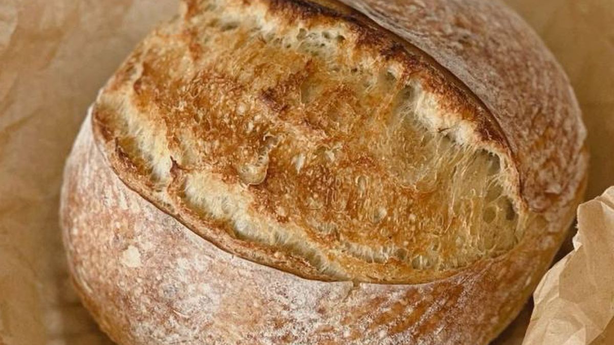 ����� ������ ���������� ��������: ������� ����� ���������� �������������