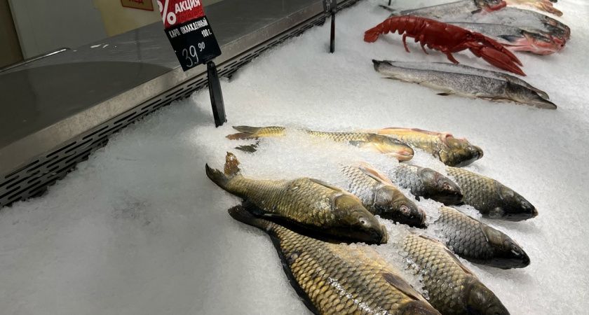 ��� ��������� �������� ����� ���� � ������� ��������