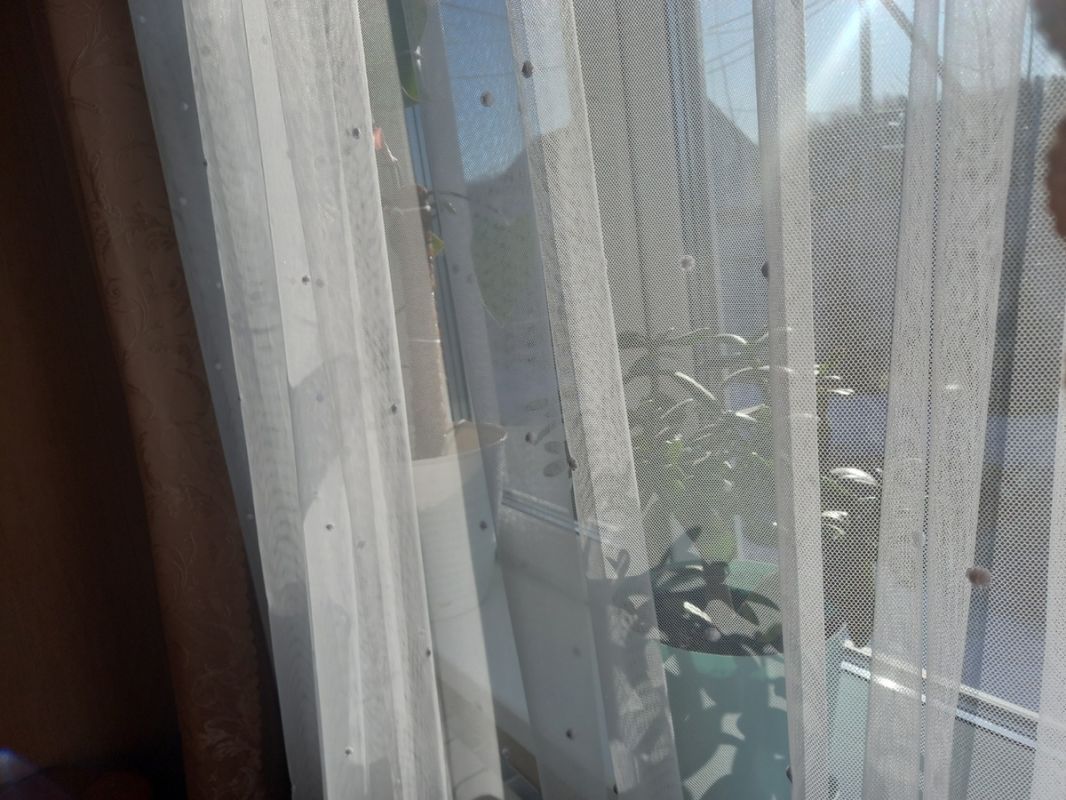 Как недорогой тюль может изменить атмосферу в вашем доме