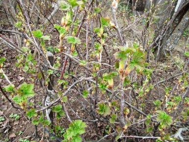 ��� ��������� ���������� ��������� � ������ ��� ��������� ������