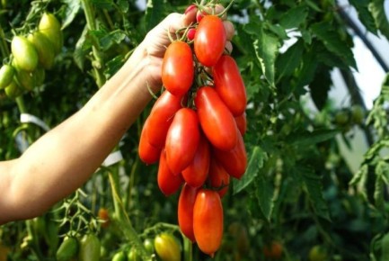 ����� ������� ����: ��� �������� ������� �������