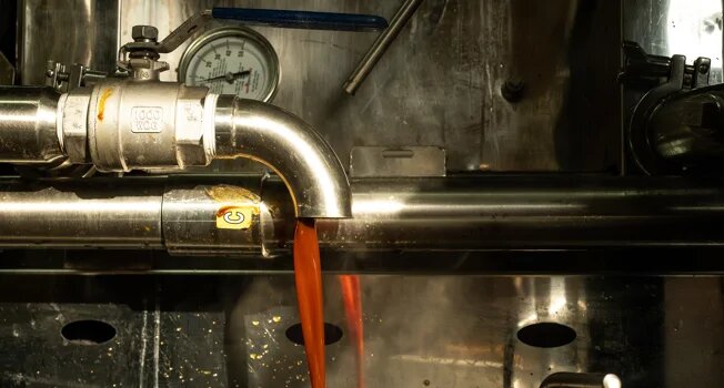 Кленовый сироп из Пензенской области: уникальный продукт с амбициями