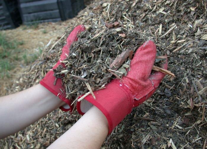 Как разумно использовать старую мульчу из теплицы: практические советы