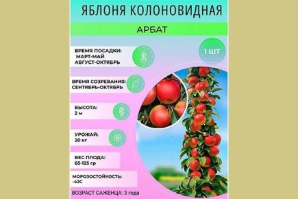 Неизменная Красота Яблони Арбат: Как Вырастить Урожай Сочных Плодовых Чудес