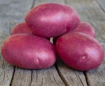 Кулинарное путешествие по родине картофеля: шесть уникальных рецептов из Перу