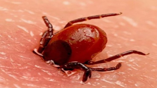 ��� �������� ������ � ���������� � �������: ������ ��� ����������� ������