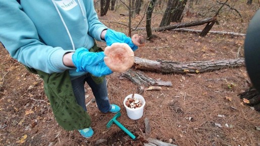 � ���� �������� ���� ������ �������������� ��������