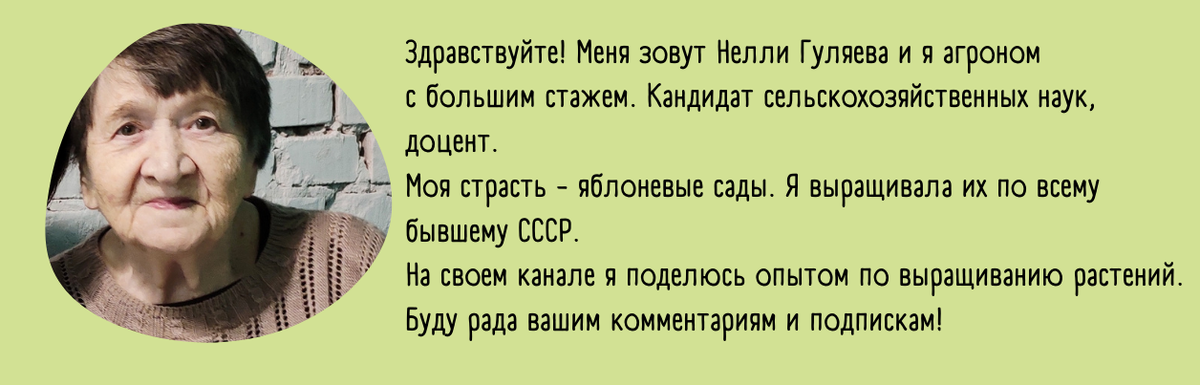 Пять эффективных способов подготовки теплицы к зиме без замены грунта