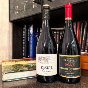 Два пино нуара: Аргентина против Чили — кто лучше?