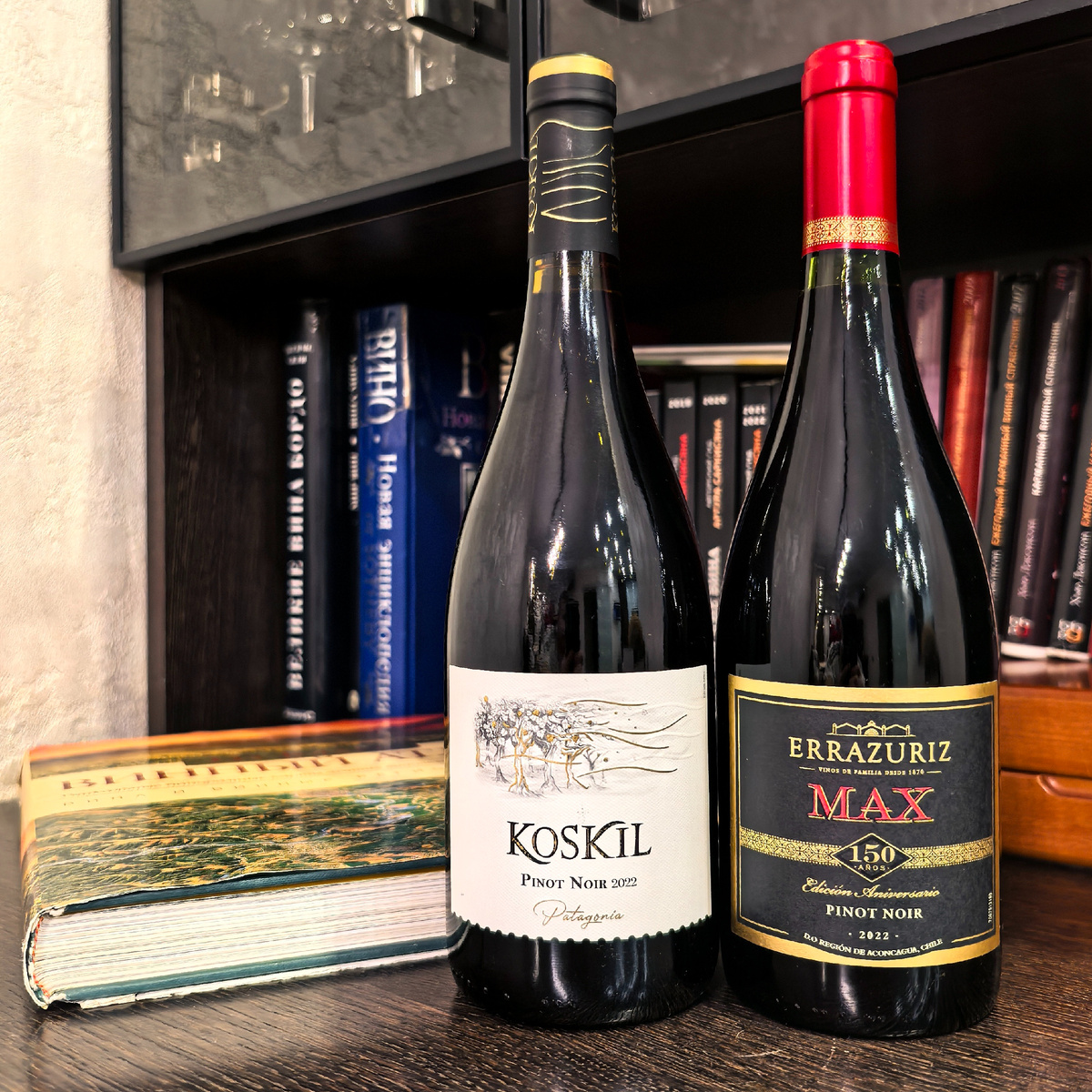 Два пино нуара: Аргентина против Чили — кто лучше?