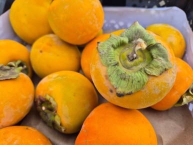 � ���������� ������������� ���� ��������� ����� �� �����������