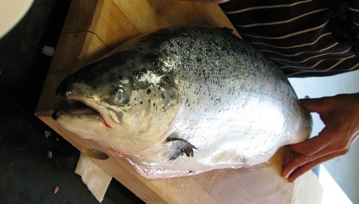 ������: ������ ������������ ��� ������ ���������� � �������