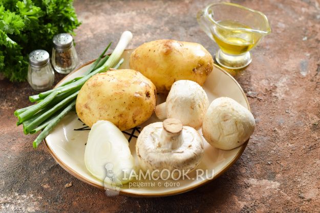 ������ ������ ��������: ���������� �������� � ������� ��������