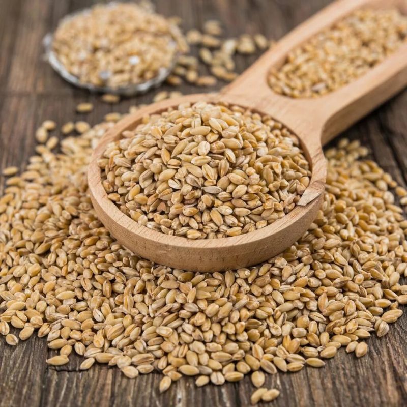 ��� ������� �����, ����� ��������: ������������ �����������