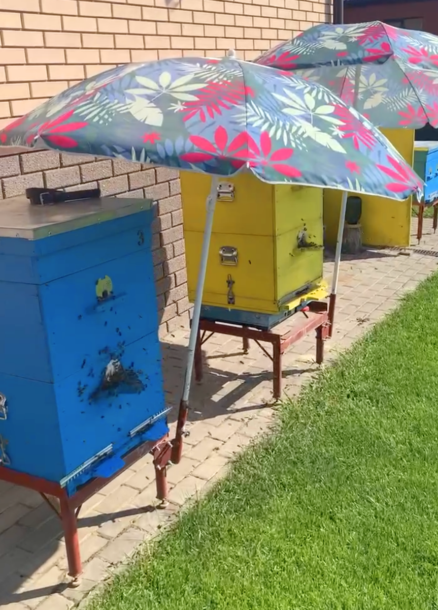 Как распознать настоящий мёд: простые советы на каждый день