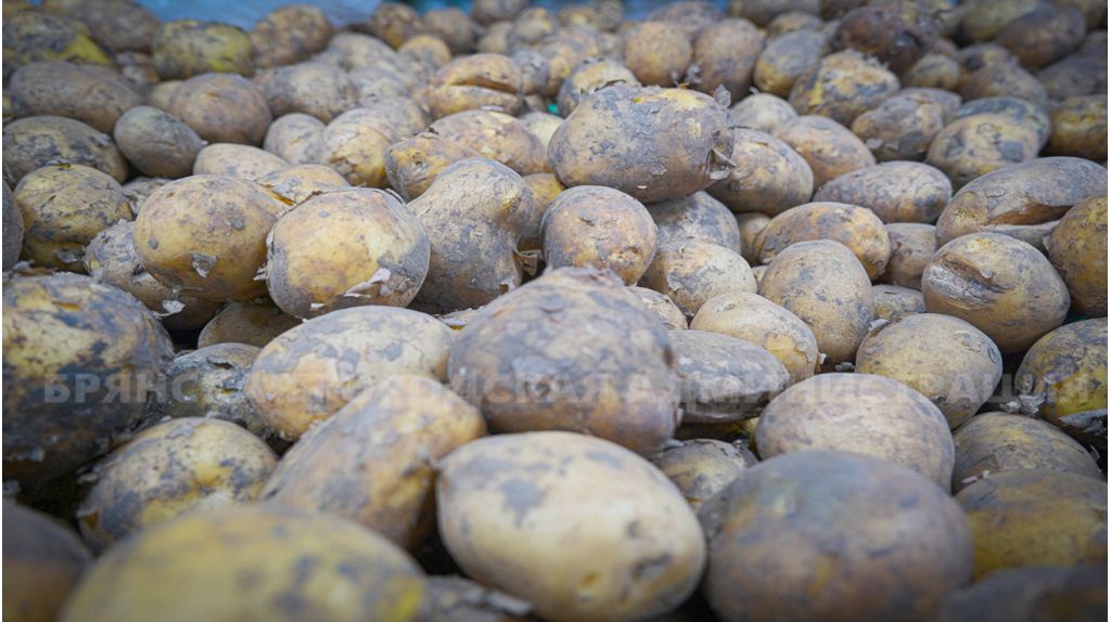 ������� �� ������� �������� �������