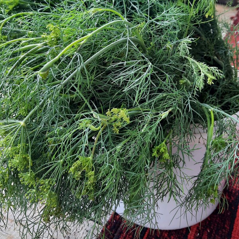 ��������� �������� ����: ��������� ���������� ��� ������ ����