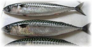 ��� ��������� ������ ��������: ������ � ������������