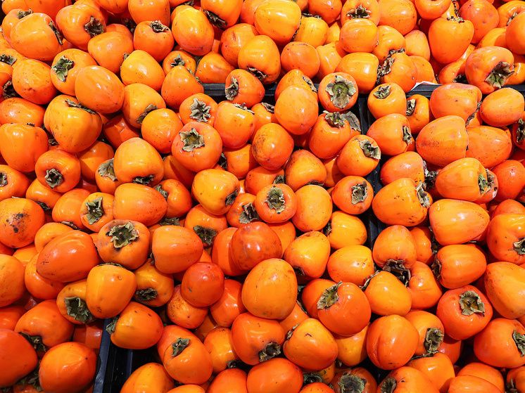 ��� ������� ��������� ����� �����: ������� �� ���������