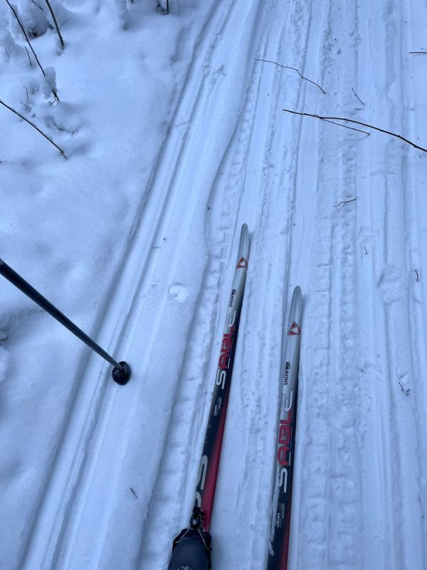 ��������� ���� �� ������: �������� � ���������� ����� �� 900 ������