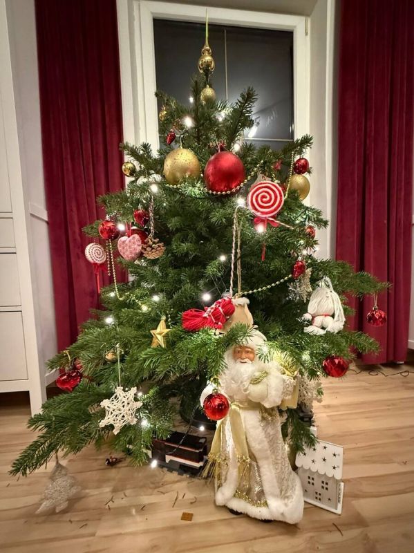 ��� �������� ������ ������������� � ������ ����