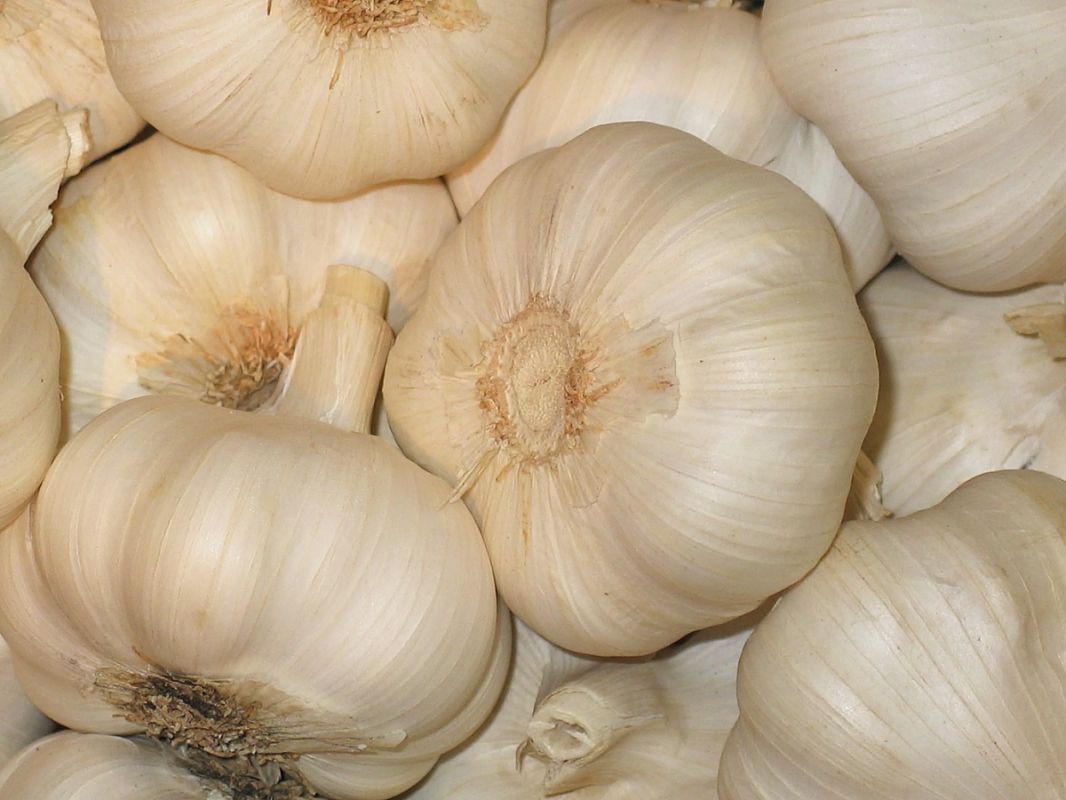 Продукты, которые поддержат ваше сердце до 90 лет