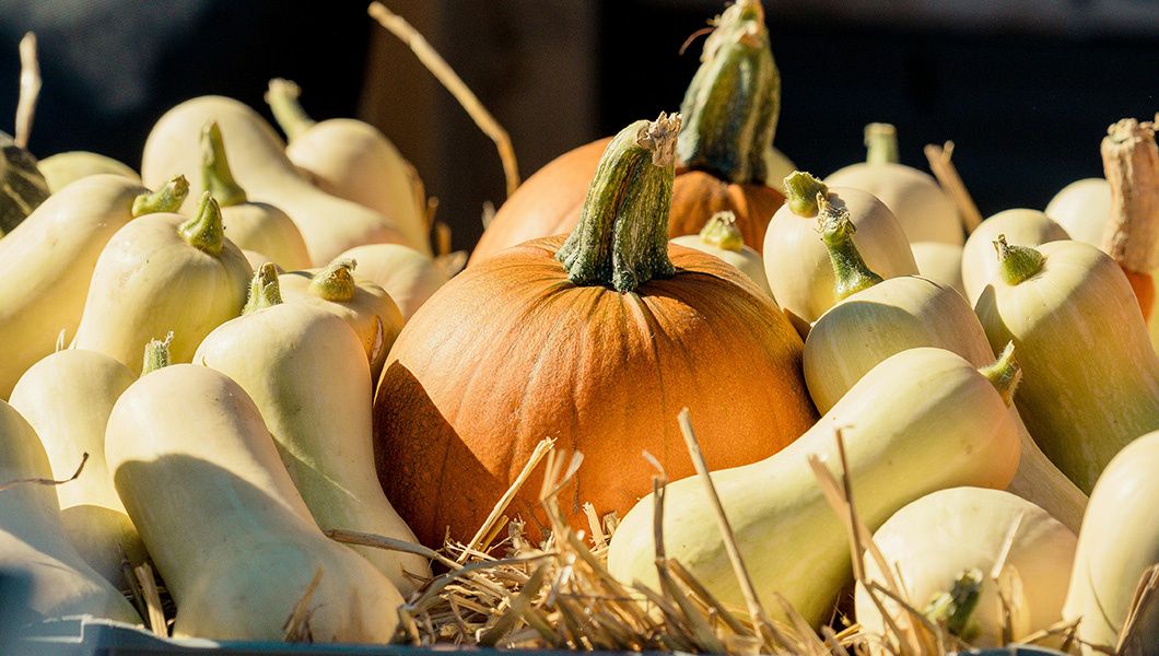 ����� � ����� ����: ������� ������ � ������� �������