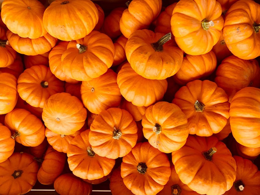 ��� ��������� ������� ����� ��� ������� ����