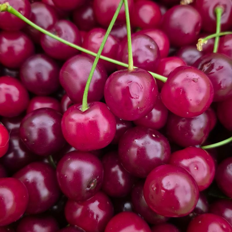 �������� � ������: ������ ���������, ������� ������ ����������