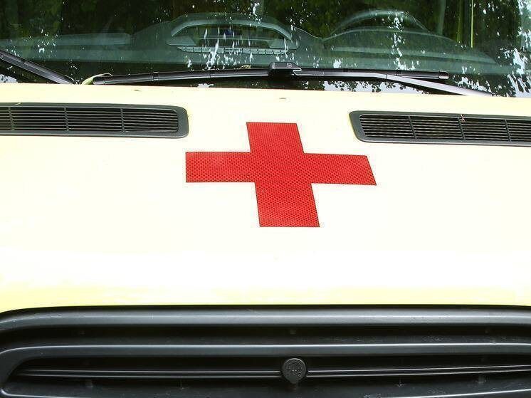 Как ограничить потребление мандаринов во время праздников: советы от нутрициолога