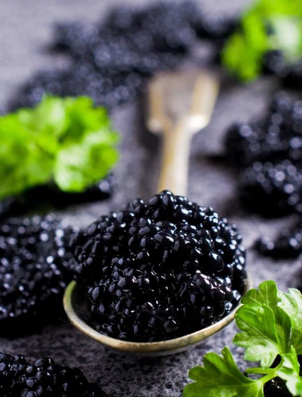 ��������� �������: �� �������� �� �������������