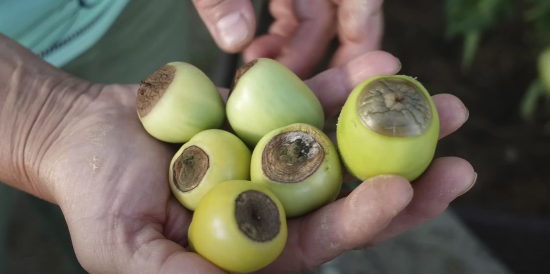 ��� ���������� � ��������� ������ ��������� � ������ ������