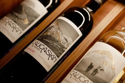 ���������� ����: ����� ��������� ��������� �� ���������