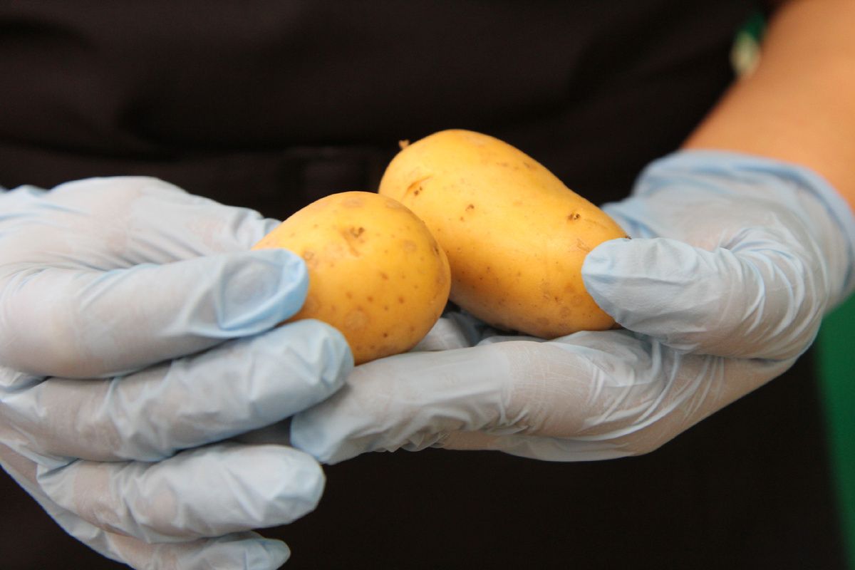 ��� ������� ��������� �������� ��������� ��� �������� ������