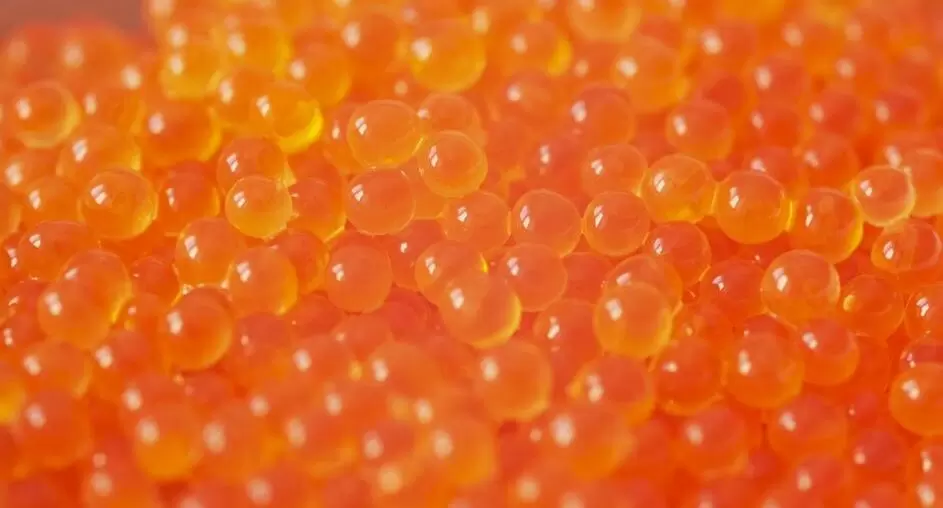 Красная икра из московских магазинов под угрозой: обнаружена кишечная палочка