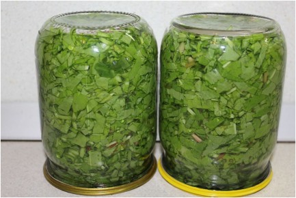 Как заготовить щавель на зиму: простой рецепт для домашних кулинаров