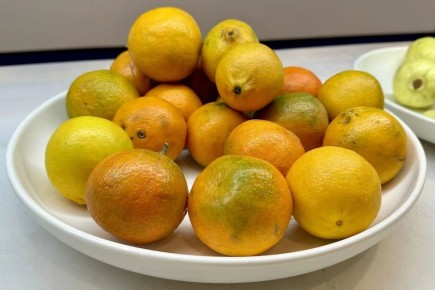 ���������: ���� ����� ���� ���������� � ������� ���������