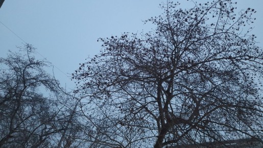 Февральское солнечное чаепитие: как добавить ярких красок в зимнюю суету