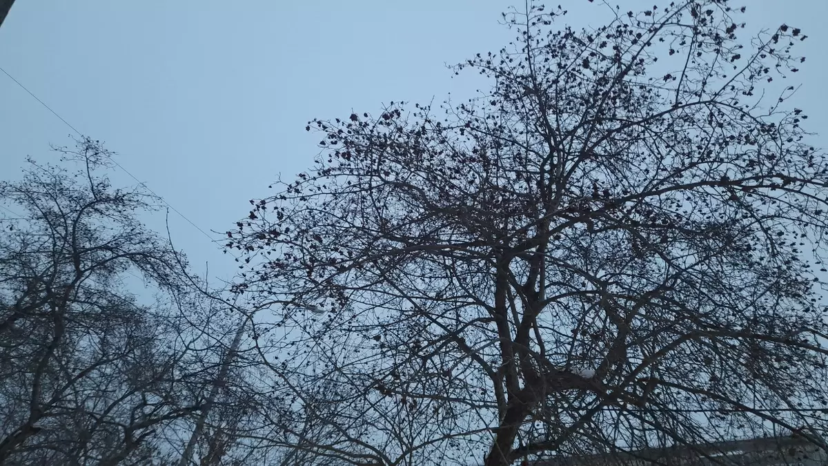 Февральское солнечное чаепитие: как добавить ярких красок в зимнюю суету