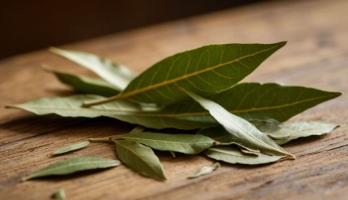 Лавровый лист: как не испортить любимые блюда