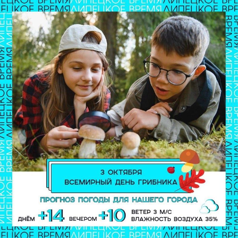 3 октября — День грибника!