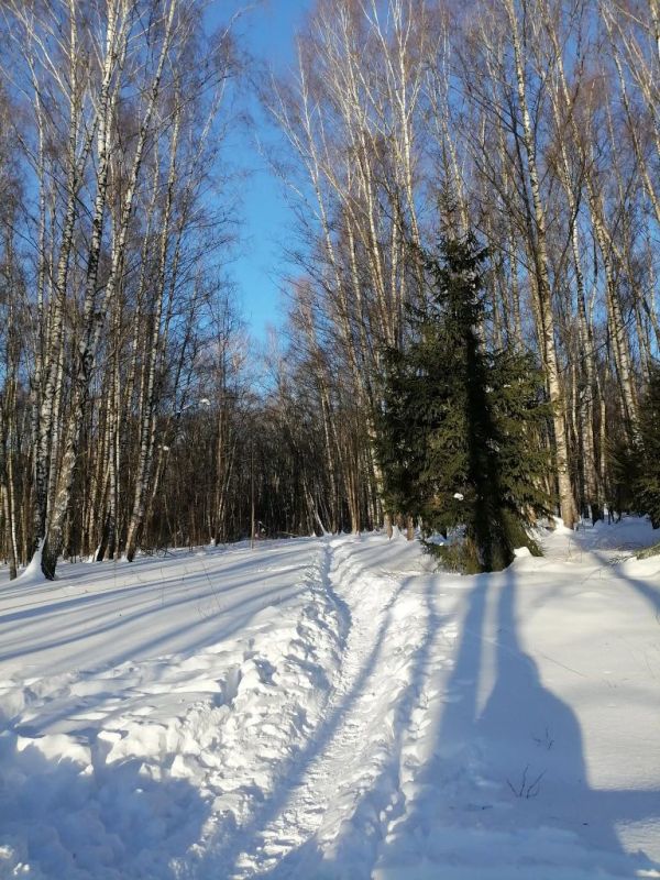 Как не поддаться искушениям в день праздника?