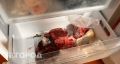 Секреты правильного хранения продуктов в холодильнике