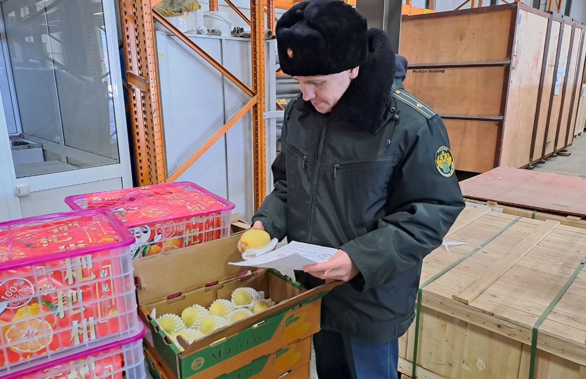 Урал встретил экзотику: личи и маракуйя теперь в продаже